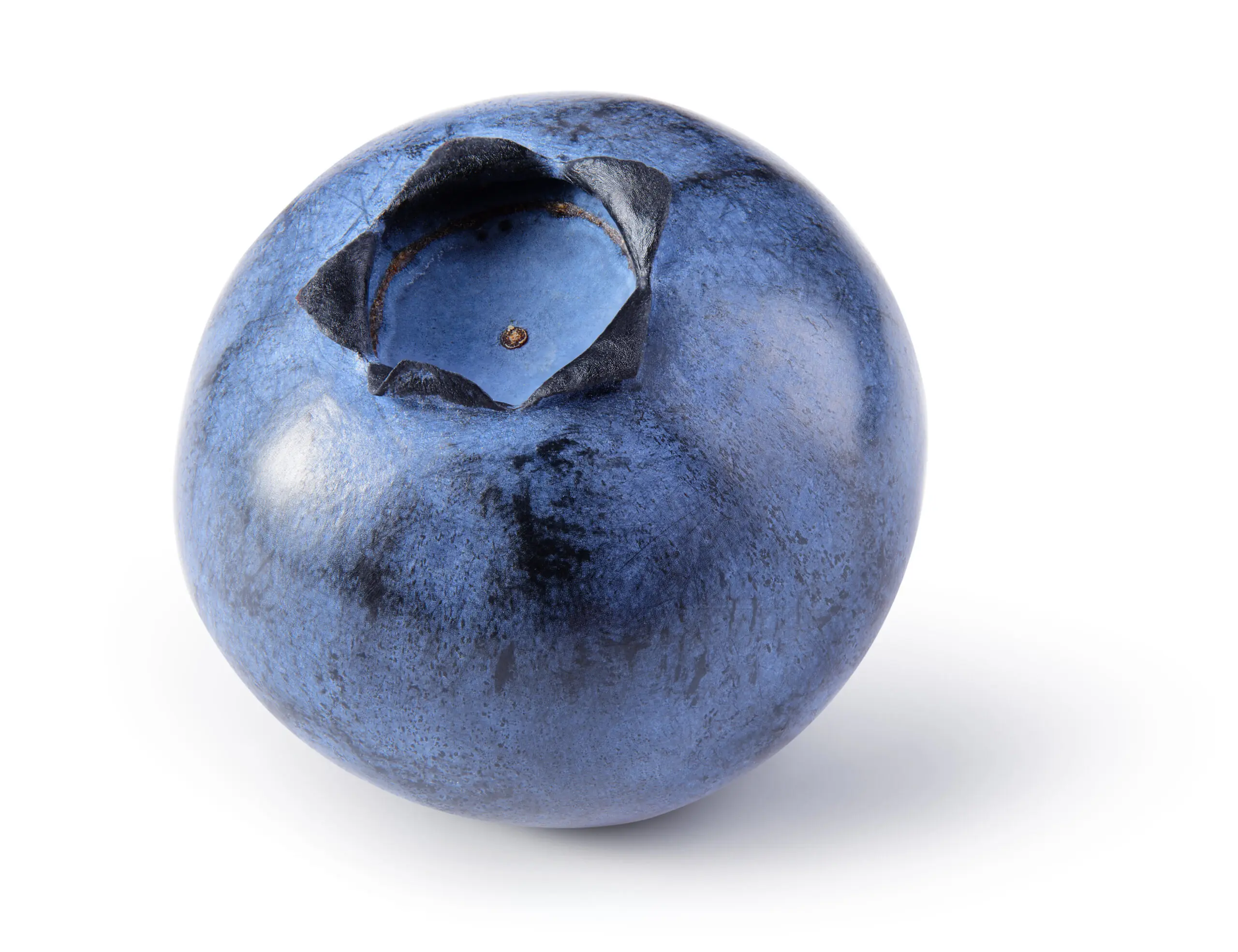 Fresh ripe blueberry with natural bloom coating on white background