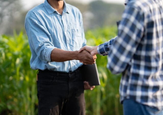 Supporting Image